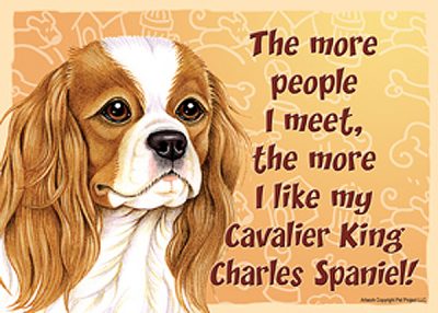 cav_king_charles_people_meet_magnet