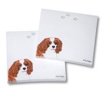 Cavalier King Charles Post It Sticky Notes Notepad Brown