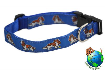 Cavalier King Charles Dog Breed Adjustable Nylon Collar Medium 10-16" Blue