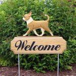 chihuahua-welcome-sign-fawn-white
