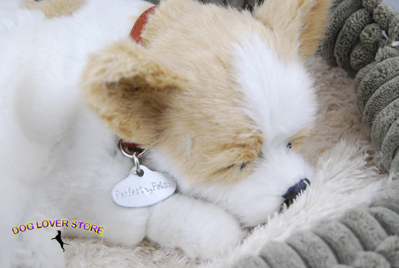 Small Lifelike Chihuahua Stuffed Animal Plush Toy