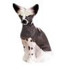 Browse Chinese Crested Themed Gifts