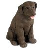 Search Chocolate Labrador Gifts & Merchandise