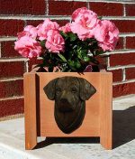 Chocolate Labrador Planter Flower Pot