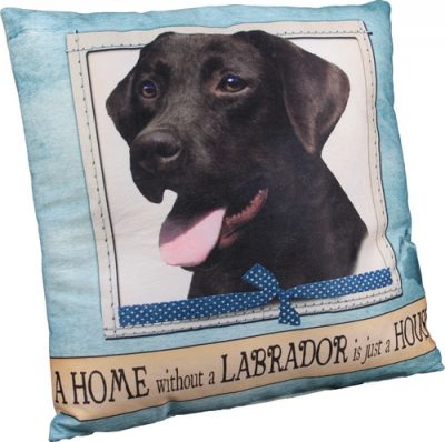 Chocolate Labrador Pillow 16x16 Polyester