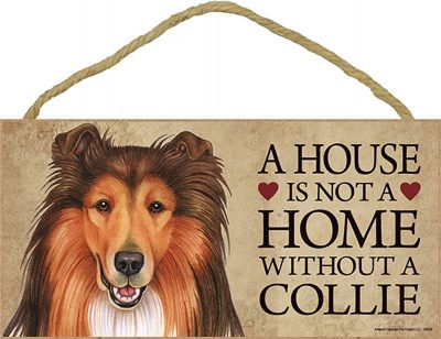 Collie Wood Dog Sign Wall Plaque Photo Display 5 x 10 + Bonus Coaster