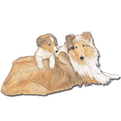 Collie Wooden Magnet Adult and Puppy