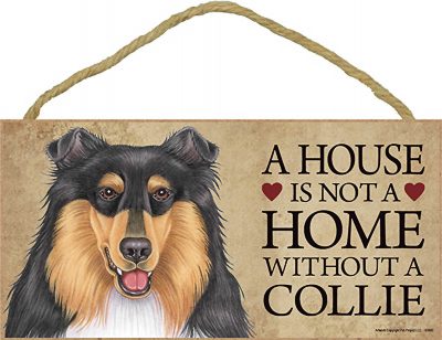 Collie Indoor Dog Breed Sign Plaque Tri Color - A House Is Not A Home + Bonus Coaster