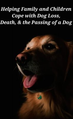 Coping With the Loss of a Dog