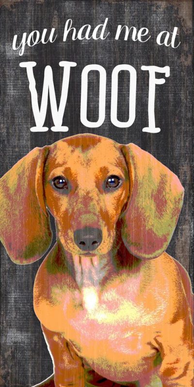 Dachshund Sign - You Had me at WOOF 5x10