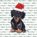Dachshund Dog Coasters Christmas Themed Black