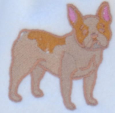 french-bulldog-cream-scarf-close-up