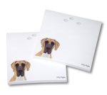 Great Dane Post It Sticky Notes Notepad Fawn Uncropped