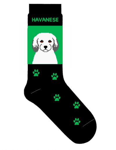 Havanese Socks Green