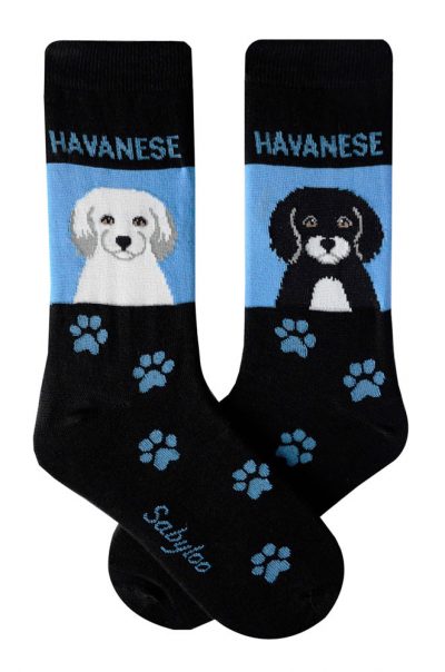Havanese White and Black Socks Blue and Black in Color