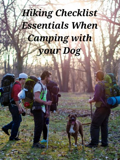 Hiking Checklist Essentials When Camping with your Dog - DogLoverStore