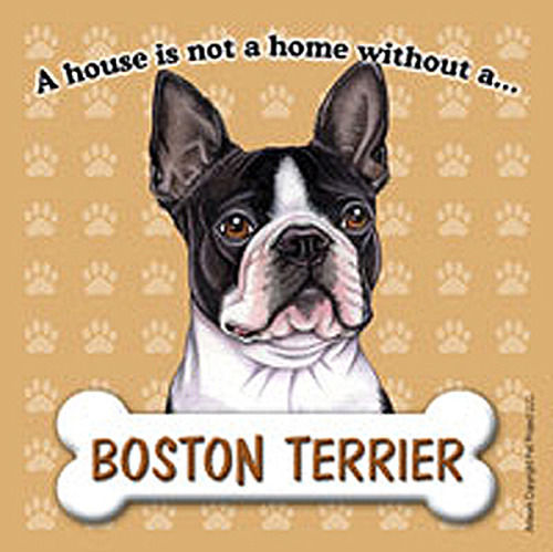 House Is Not A Home Boston Terrier Magnet