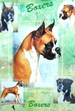 All You Need is Love & a Dog 7 x 10.5 Boxer Sign 