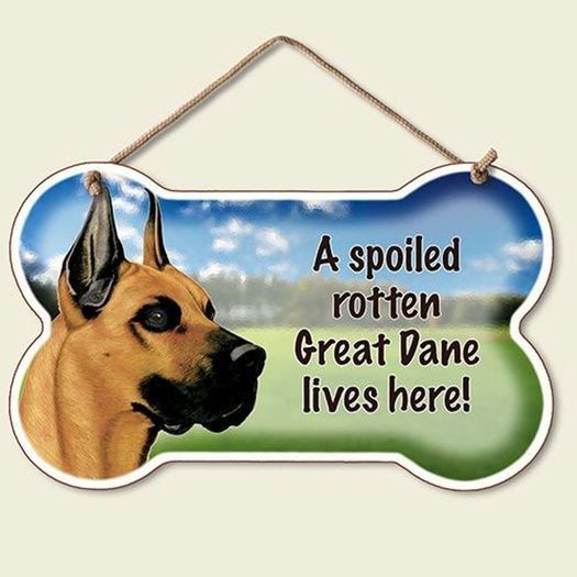 Great Dane Dog Sign Wall Plaque Bone Shape Spoiled Rotten 9.5 X 5.6