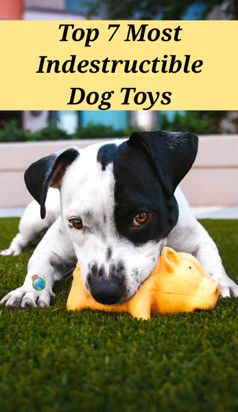 Indestructible Dog Toys