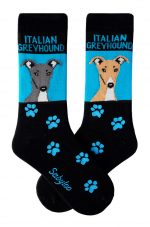 Italian Greyhound Socks on Blue Background