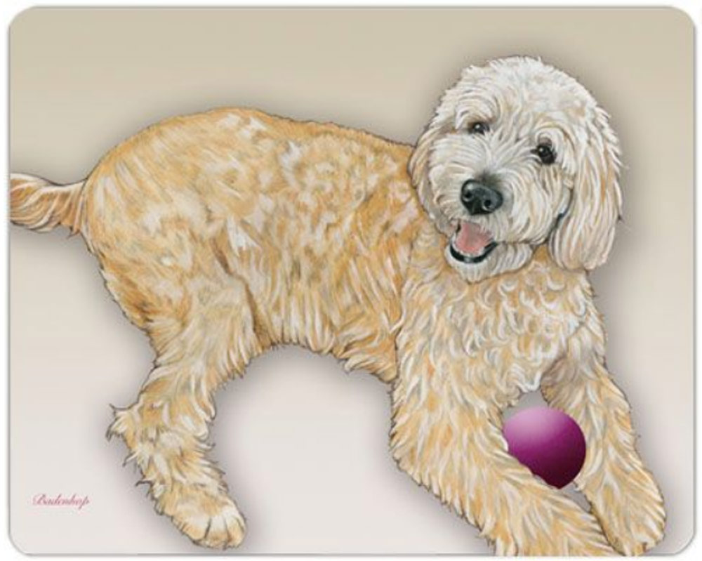 labradoodle statue