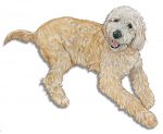 Labradoodle Wooden Magnet Cream