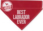 Best Labrador Ever Bandana