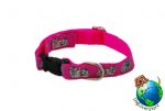 Maltese Dog Breed Adjustable Nylon Collar Small 7-11" Pink