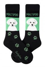 Maltipoo White Socks - Green & Black in Color