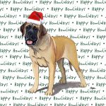 Mastiff Dog Coasters Christmas Themed
