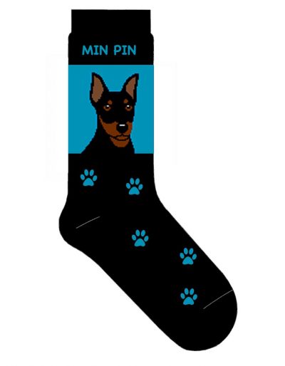 mini-pinscher-socks-blue