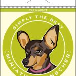 Miniature Pinscher Car Magnet 4x4"