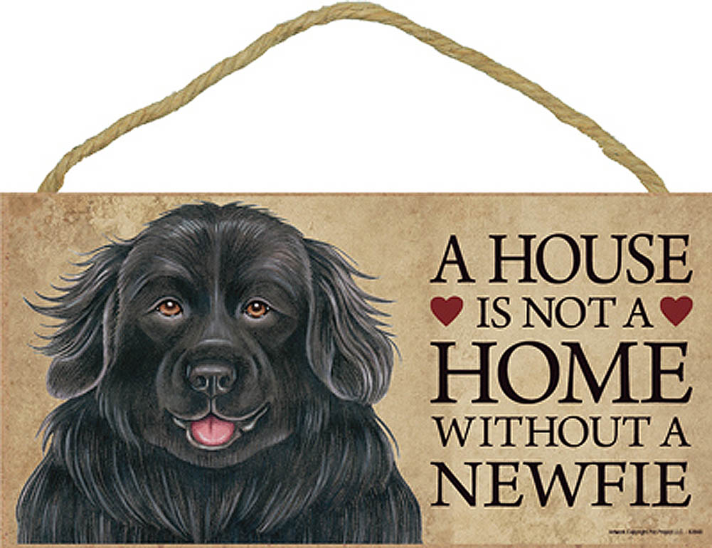 Newfoundland House is Not a Home Sign + Bonus Coaster