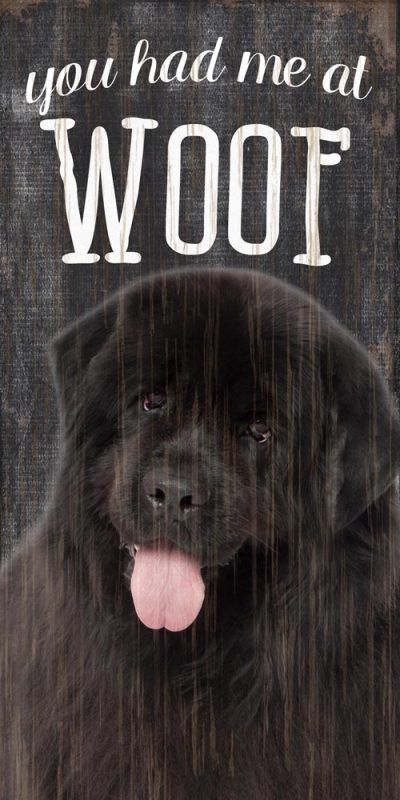 Newfoundland Sign - You Had me at WOOF 5x10