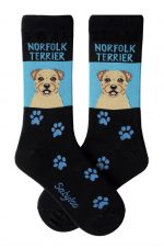Norfolk Terrier Socks on Blue Background