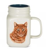Orange Cat 21 Oz. Ceramic Mug Mason Jar - All You Need Is Love