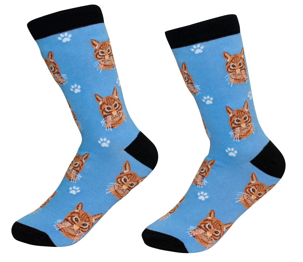 Orange Tabby Socks Unisex Cat