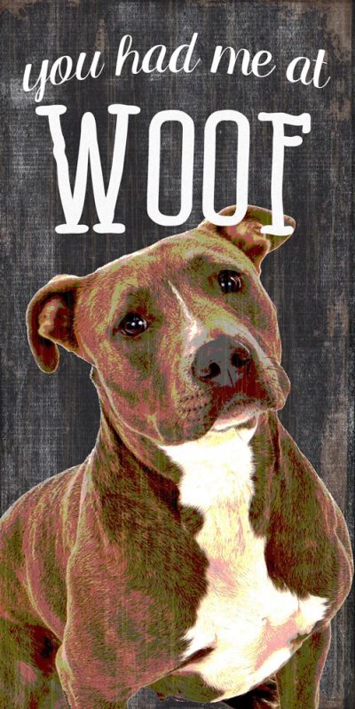 Pitbull Sign - You Had me at WOOF 5x10
