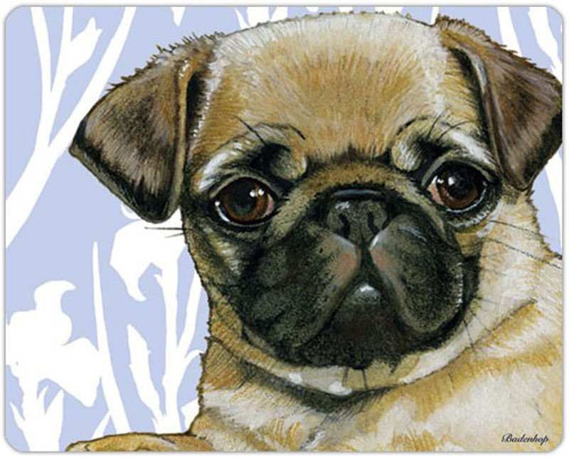 Details about   Pug Cutting Board Tempered Glass Fawn 