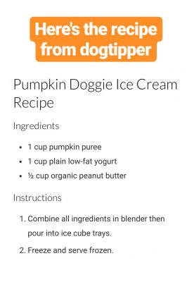 Pumpkin Dog Ice Cream Recipe