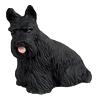 Browse Scottish Terrier Gifts & Merchandise
