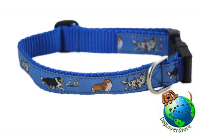 Sheltie Dog Breed Adjustable Nylon Collar Medium 10-16" Blue