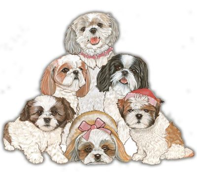 Shih Tzu Wooden Magnet Puppy Cut Family