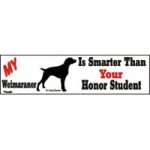 Smarter Than Honor Student Dog Bumper Sticker