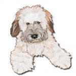 Soft Coated Wheaten Wooden Magnet