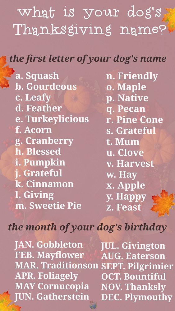 Thanksgiving Name Game for Your Dog - DogLoverStore