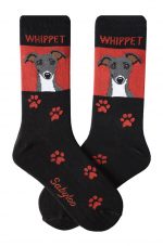 Whippet Gray Socks on Red Background