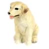 Shop Yellow Lab Gifts & Merchandise