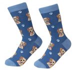 Yellow Lab Socks on Blue